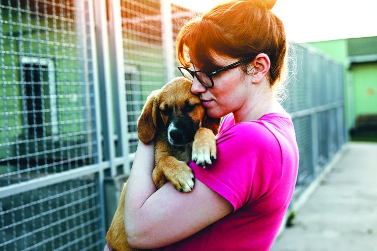 Frequently asked questions about adopting a dog